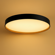 צמוד תקרה ליאם