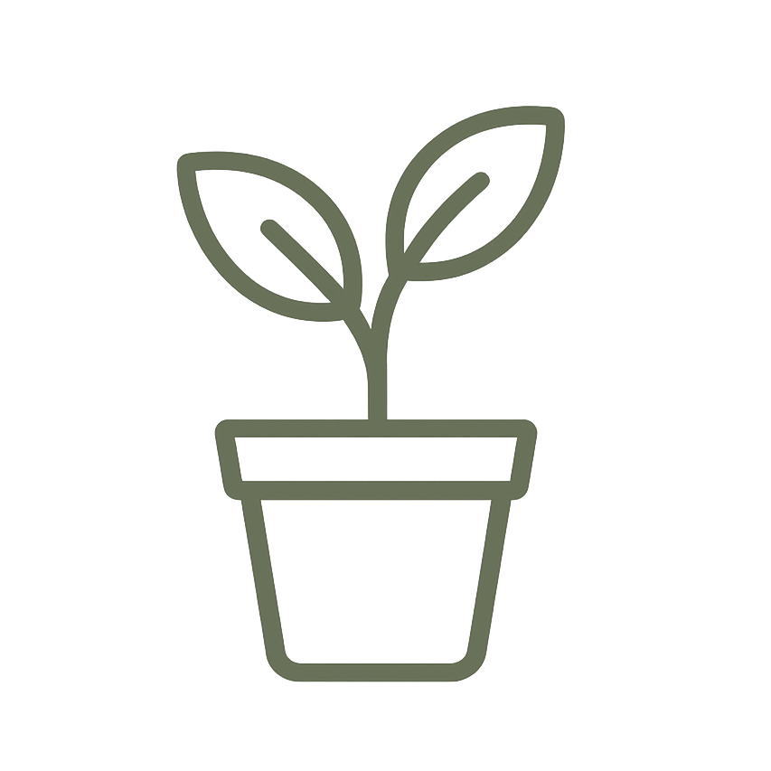 עציצים ונוי