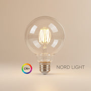 נורת LED GLOBE G95 – נורת גלוב דקורטיבית E27