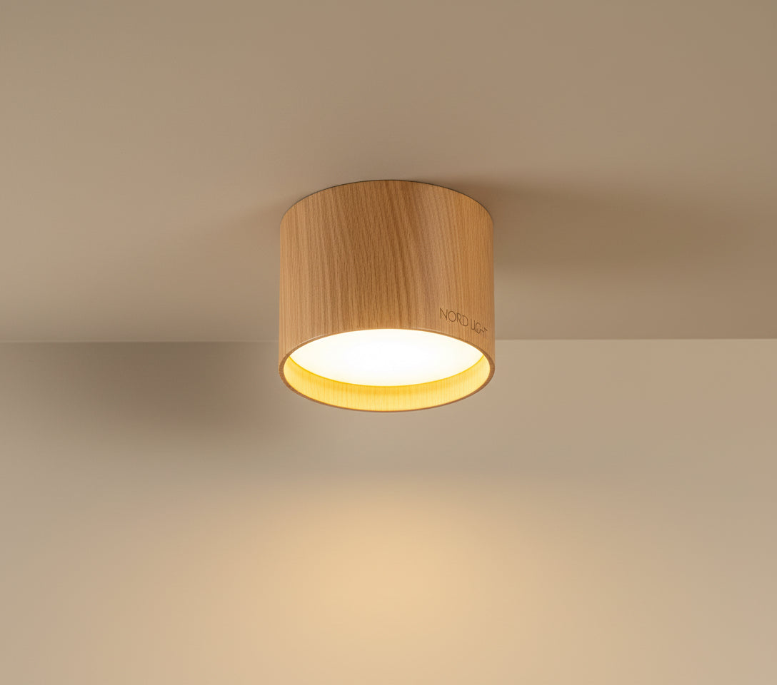 BWY CYL PRO – סדרת צילינדרי תקרה LED מעוצבים