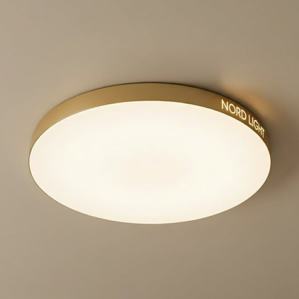 צמוד תקרה דגם A2