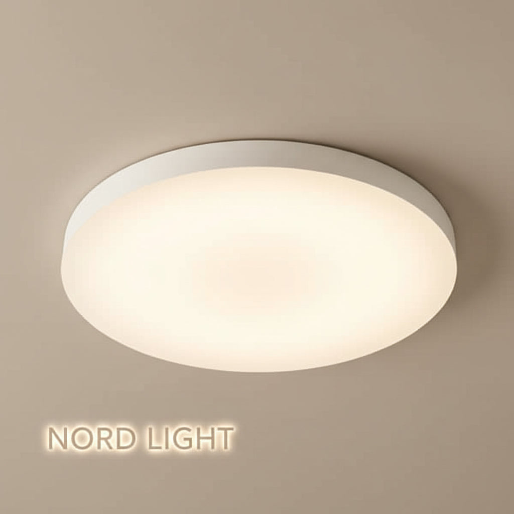 צמוד תקרה דגם A2